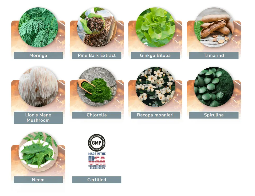 Ingredients Of NeuroPrime